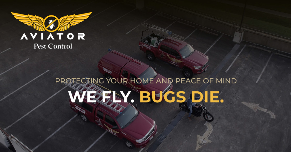 Katy Commercial Pest Control | Aviator Pest Control
