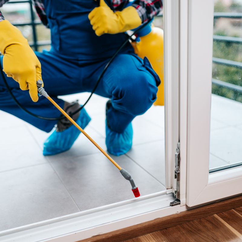 Pest Control