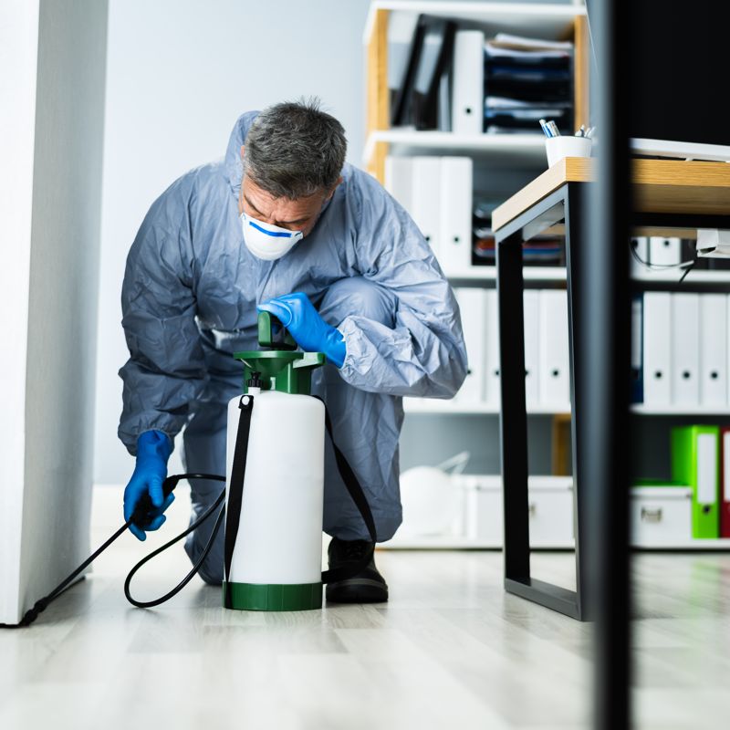 Exterminator Services