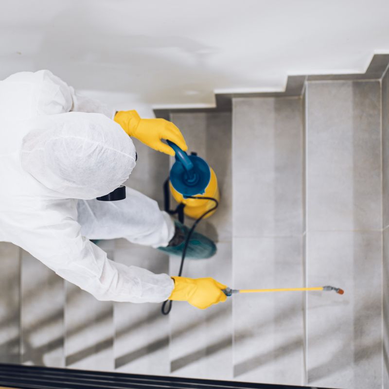 Commercial Pest Control