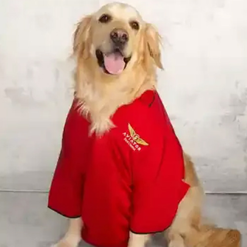 Supervisor   Photo